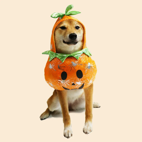 Adorable Pumpkin Pet Costume – Cozy Fleece Hoodie for Dogs & Cats|PetSphere