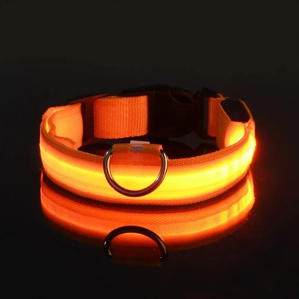 PetSphere LED Dog Collar – Light-Up Safety Collar for Night Walks with 3 Flash Modes (Battery Powered, XS–XL)