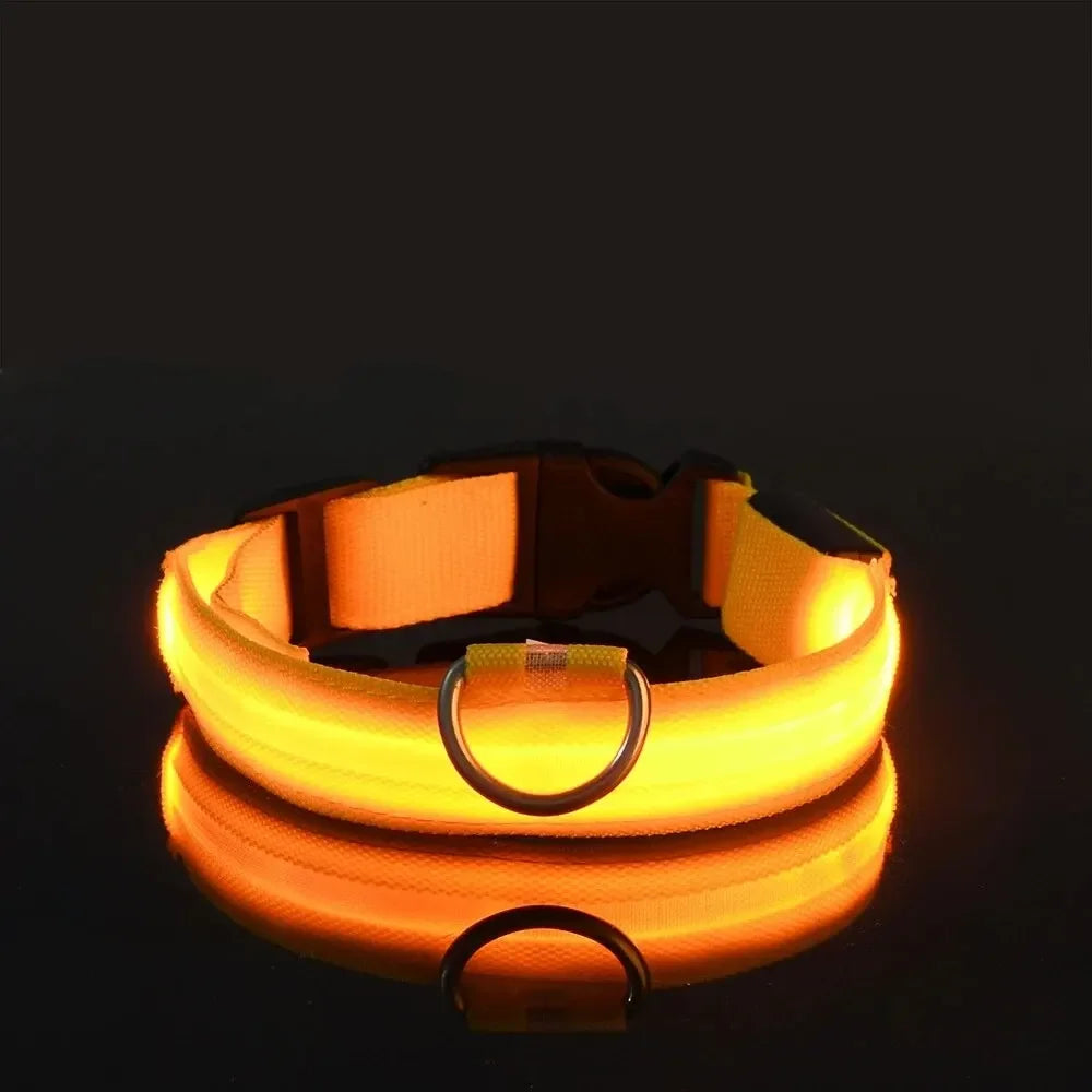 PetSphere LED Dog Collar – Light-Up Safety Collar for Night Walks with 3 Flash Modes (Battery Powered, XS–XL)