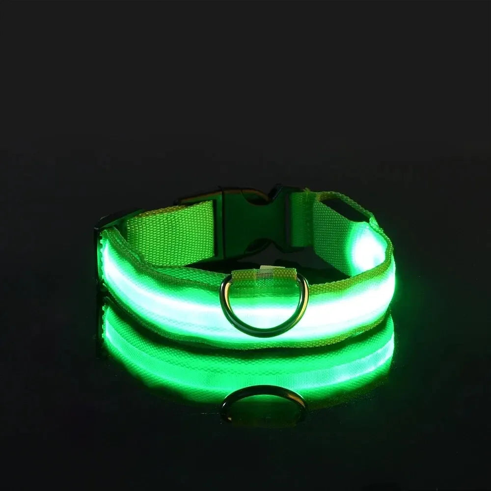 PetSphere LED Dog Collar – Light-Up Safety Collar for Night Walks with 3 Flash Modes (Battery Powered, XS–XL)