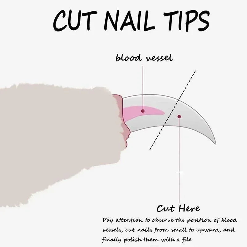 Pet Nail Clippers – Safe and Easy Grooming for Dogs, Cats, and Small Animals