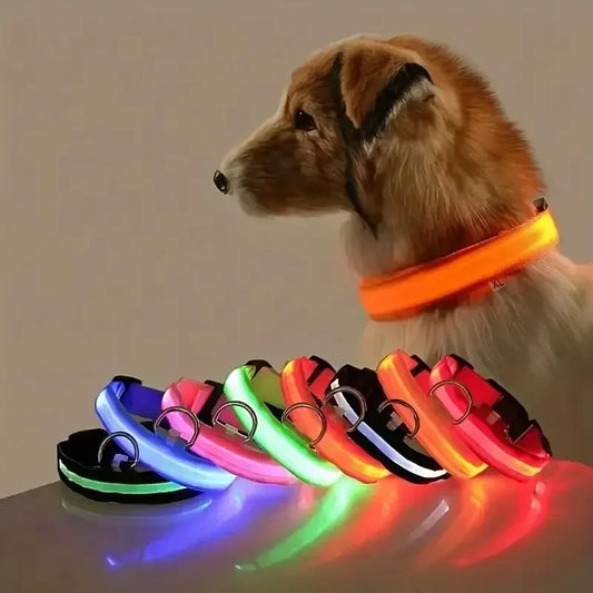 PetSphere LED Dog Collar – Light-Up Safety Collar for Night Walks with 3 Flash Modes (Battery Powered, XS–XL)