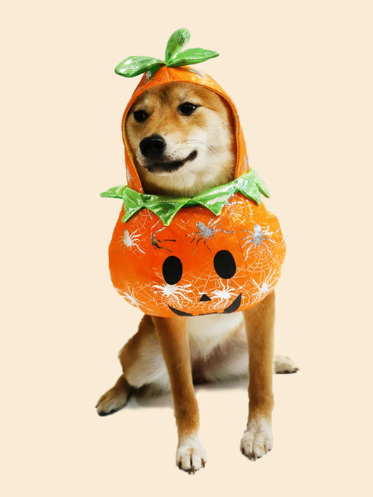 Adorable Pumpkin Pet Costume – Cozy Fleece Hoodie for Dogs & Cats|PetSphere