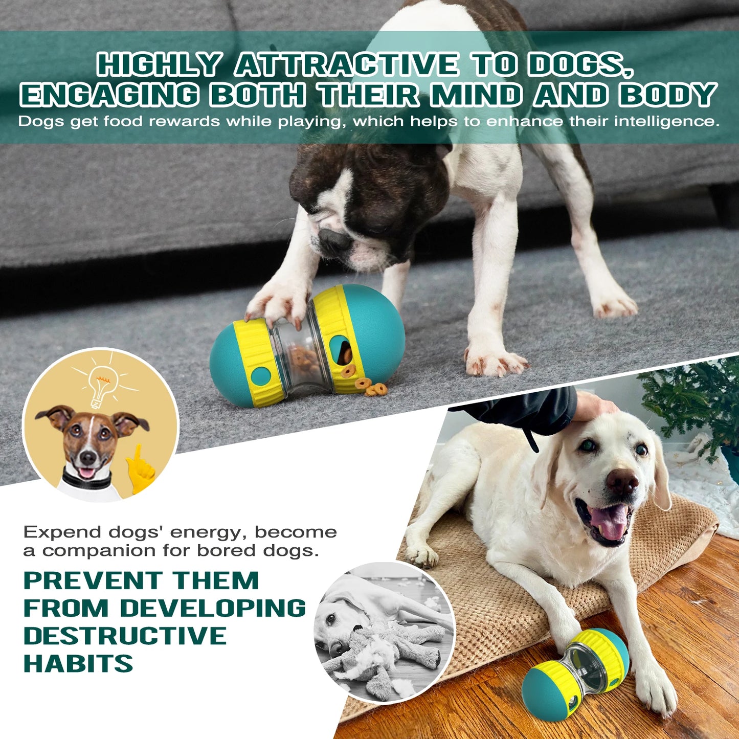 Interactive Dog & Cat Toy – IQ Training, Slow Feeder Ball for Puppies & Pets|PetSphere
