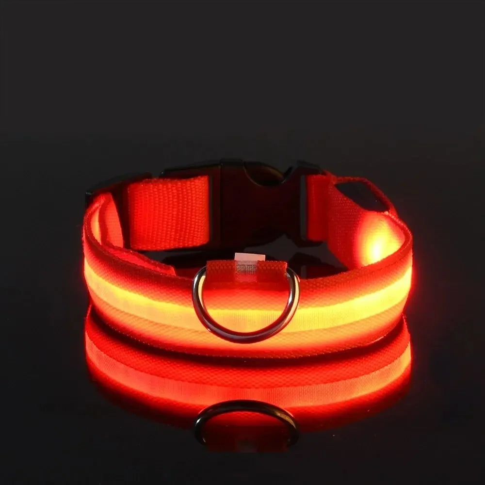 PetSphere LED Dog Collar – Light-Up Safety Collar for Night Walks with 3 Flash Modes (Battery Powered, XS–XL)