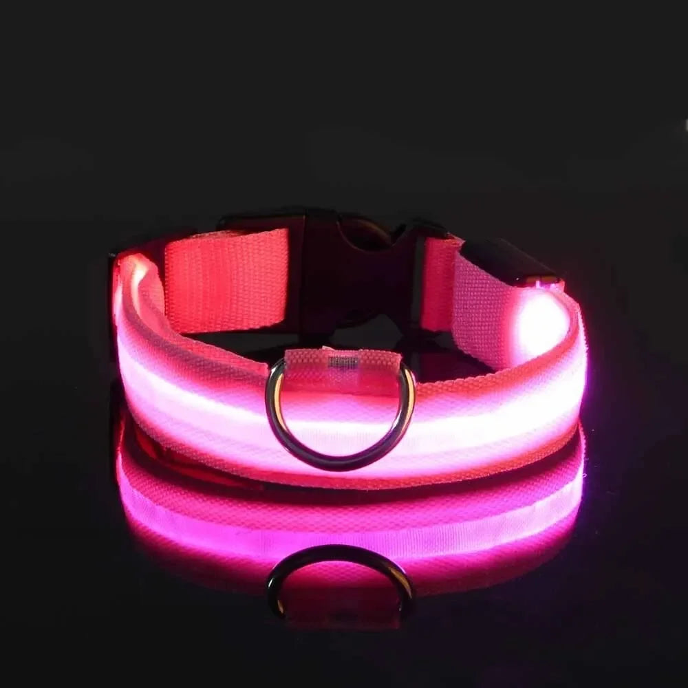 PetSphere LED Dog Collar – Light-Up Safety Collar for Night Walks with 3 Flash Modes (Battery Powered, XS–XL)