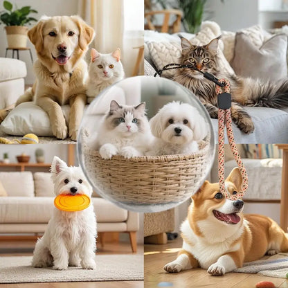 PetSphere Memory Orb – 3D Visual & Audio Experience