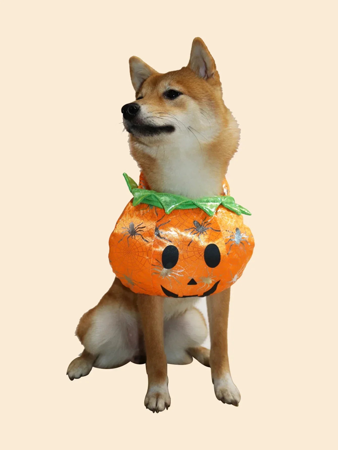 Adorable Pumpkin Pet Costume – Cozy Fleece Hoodie for Dogs & Cats|PetSphere