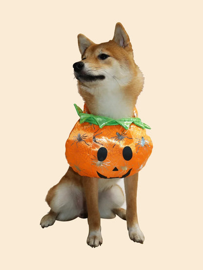 Adorable Pumpkin Pet Costume – Cozy Fleece Hoodie for Dogs & Cats|PetSphere