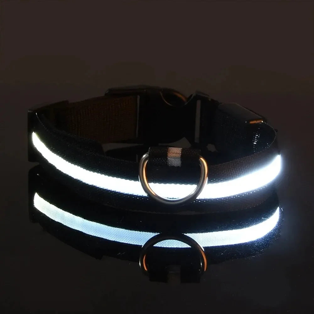 PetSphere LED Dog Collar – Light-Up Safety Collar for Night Walks with 3 Flash Modes (Battery Powered, XS–XL)